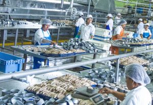 Empleo y producción en aumento